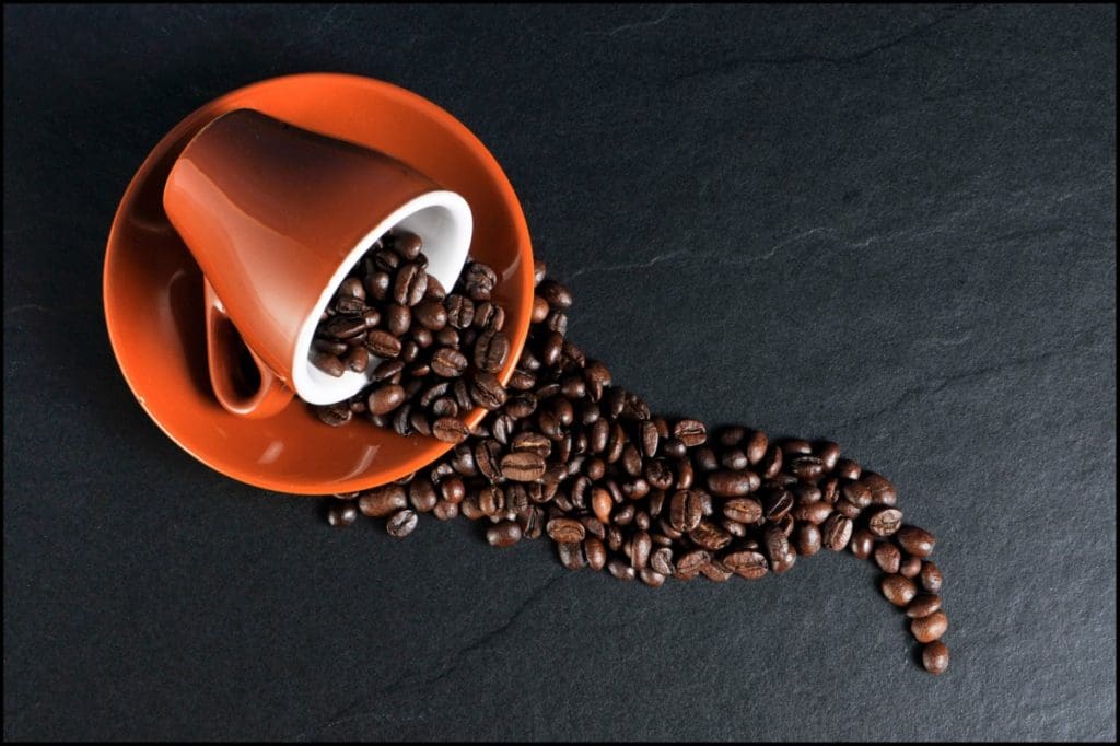 Aprende Sobre el Café