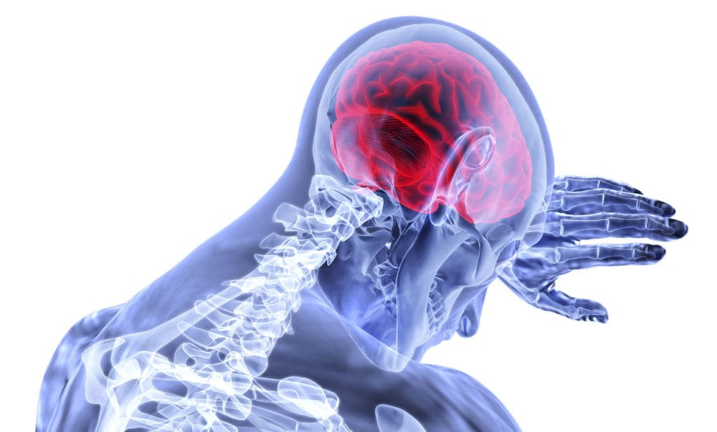 Rehabilitación en Daño Cerebral Adquirido