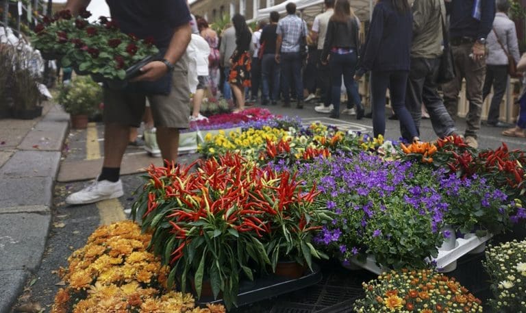 Mercadillo Semanal