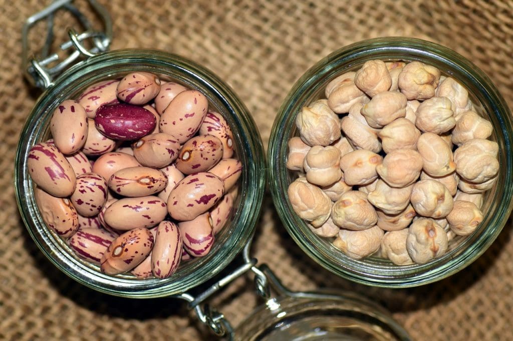 La Gran Recogida de Alimentos 2020
