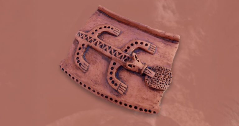 Visitas Territorio Vacceo: Día de Castilla y León