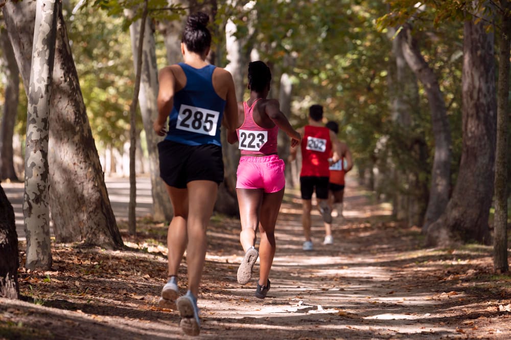 XXXIX Cross de la Constitución