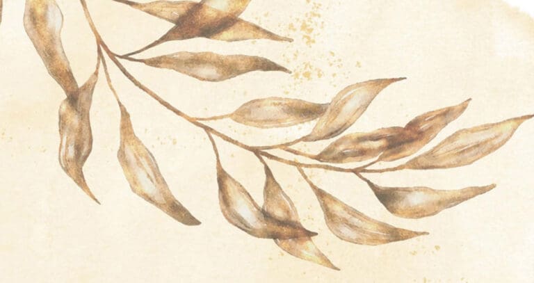 Otoño Cultural Fuentespina 2025