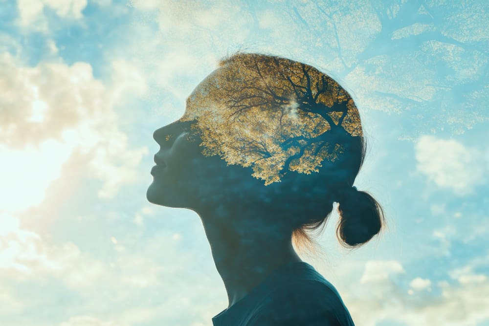 Diálogo con expertos: Salud mental social y salud mental individual