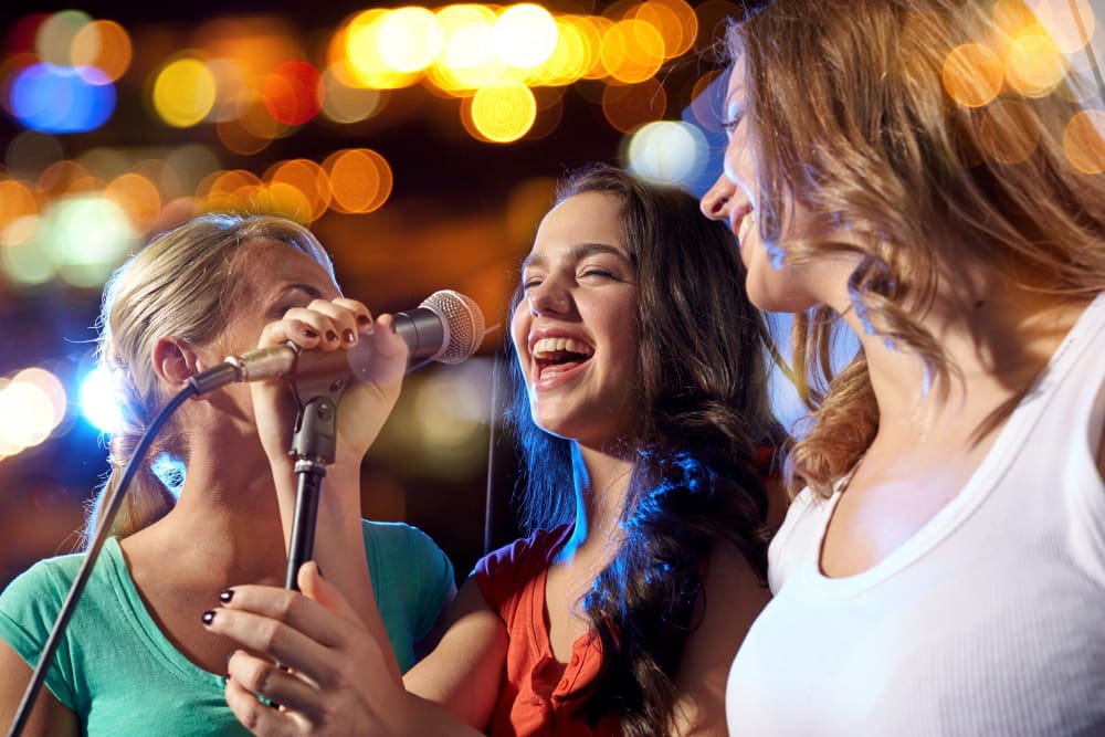 Fiesta Karaoke con Radio Karaoke – Gran Fiesta de la Vendimia 2026
