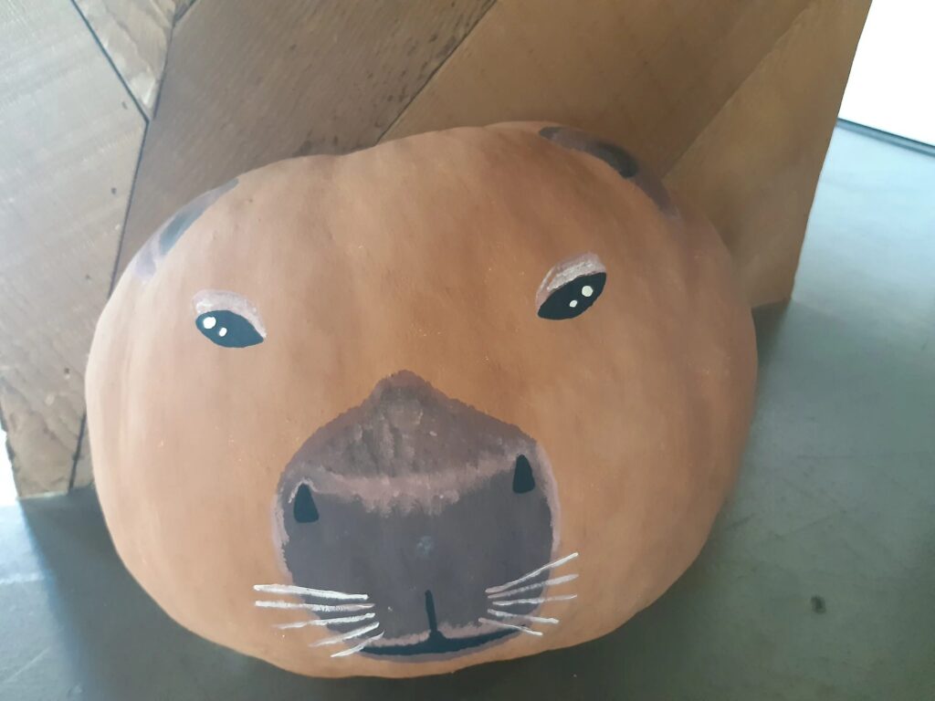 Taller infantil: Capibara Zen