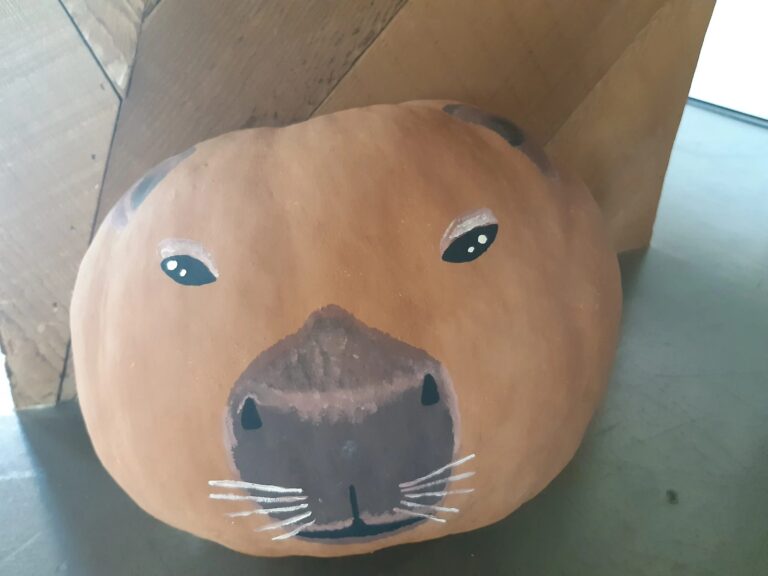 Taller infantil: Capibara Zen