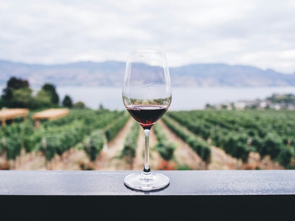 Cata Premium – Gran Fiesta de la Vendimia 2026