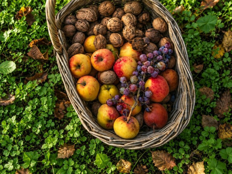 Curso de Fruticultura Ecológica