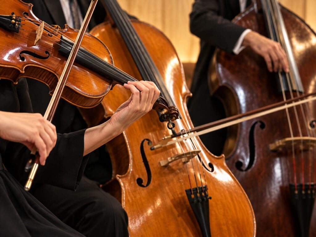 Filarmónica – Camerata Virtuosi