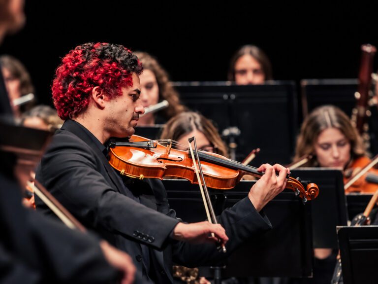 Las cuatro Estaciones de Vivaldi (Aranda)