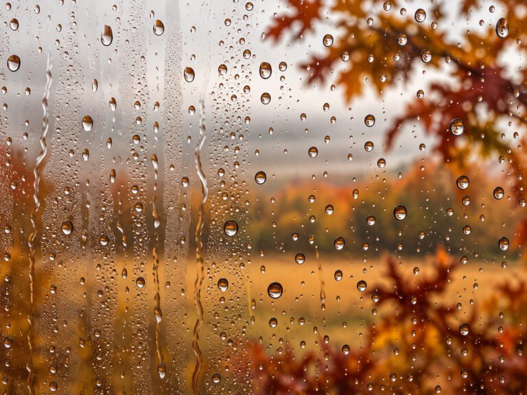 Otoño Cultural de Fresnillo 2026